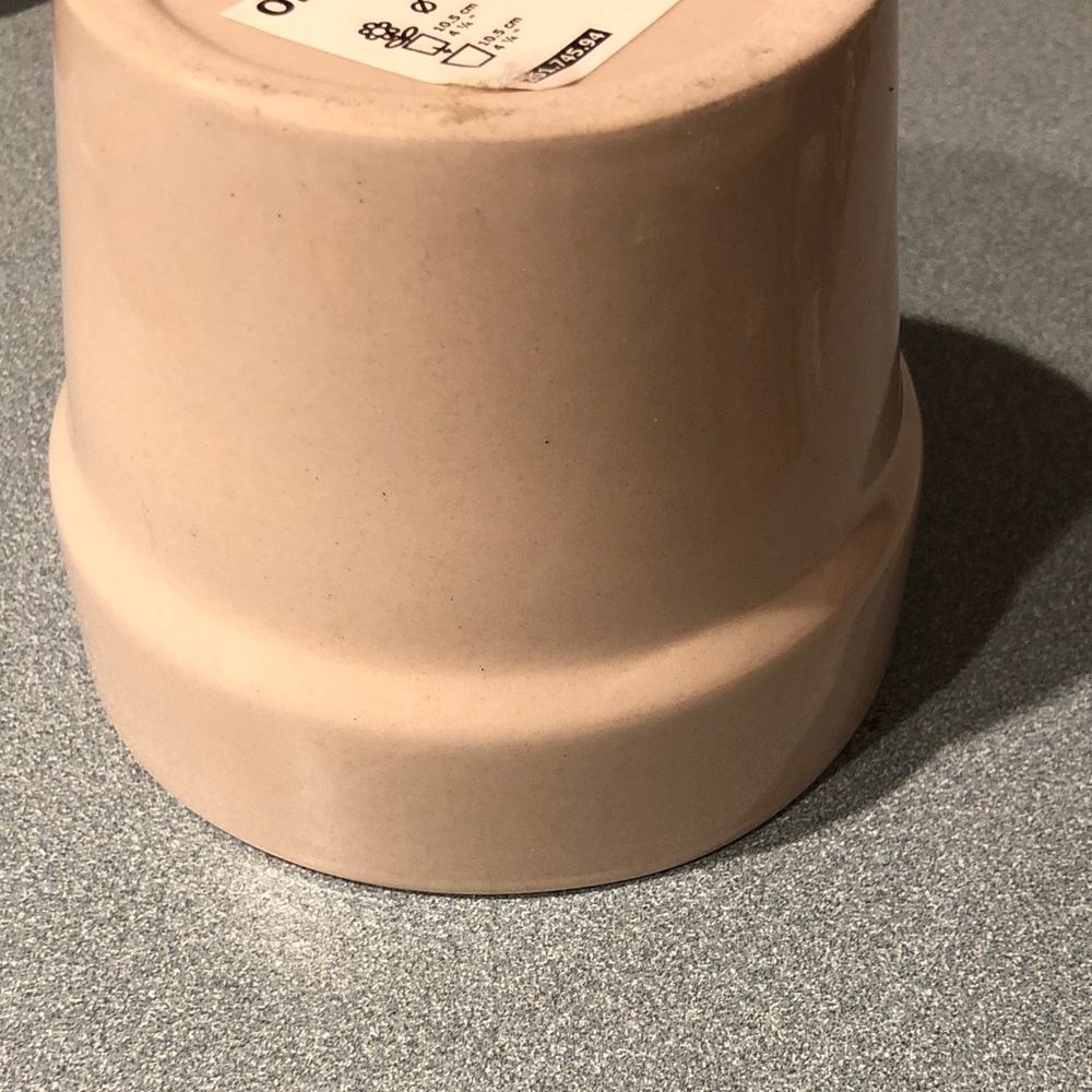 Simple Cream Ceramic Plant Pot - Picture 5 of 7